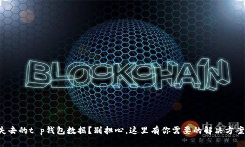 失去的t p钱包数据？别担心，这里有你需要的解决方案！